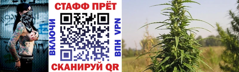 Виды наркотиков купить Хабаровск Alpha-PVP Меф Гашиш MDMA Каннабис Галлюциногенные грибы