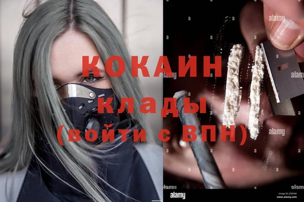 МДПВ Инсар