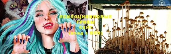 стаф Мегион