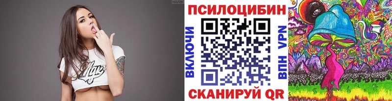 наркошоп  Хабаровск  Галлюциногенные грибы GOLDEN TEACHER 