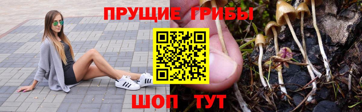 Псилоцибиновые грибы MAGIC MUSHROOMS Хабаровск