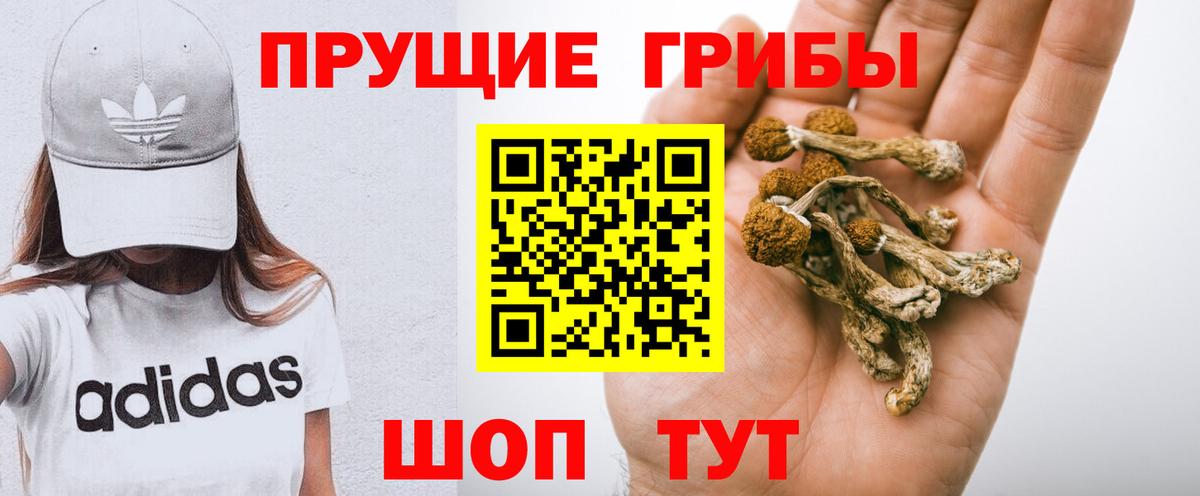 Псилоцибиновые грибы мицелий Хабаровск