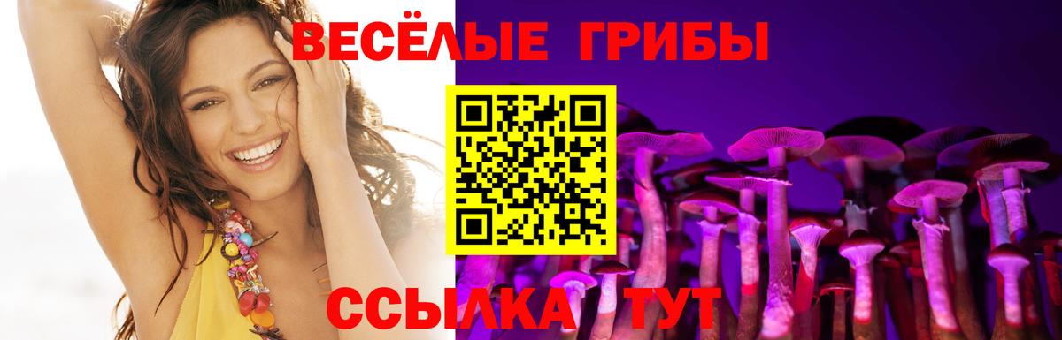 Галлюциногенные грибы Psilocybe  Псилоцибиновые грибы мухоморы  Хабаровск  Вход с VPN 